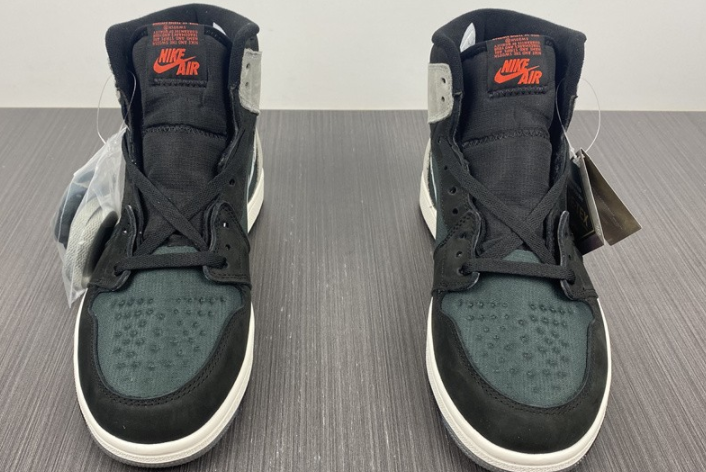 Air Jordan 1 Element Gore-Tex DB2889-001