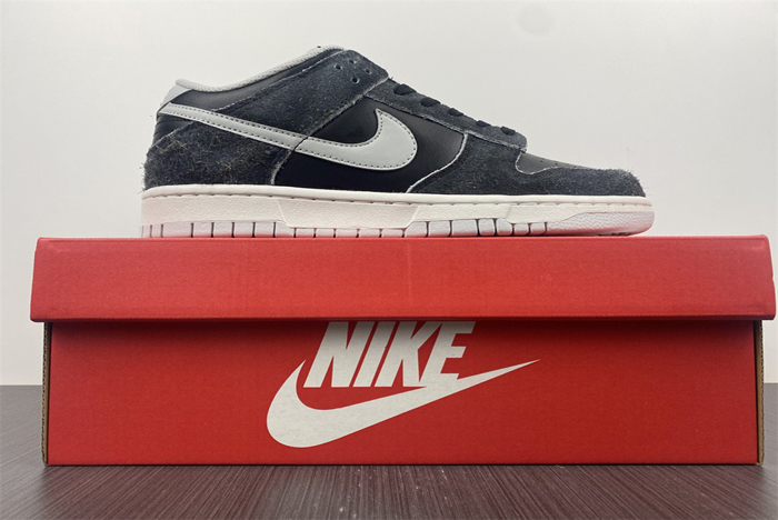 Nike Dunk Low DH7913-001