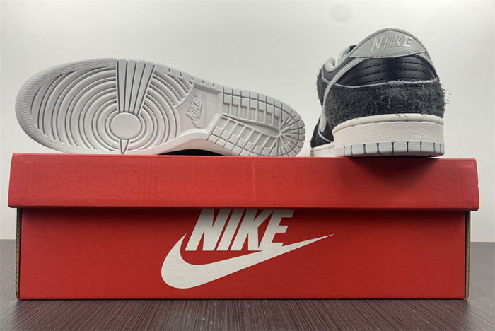 Nike Dunk Low DH7913-001