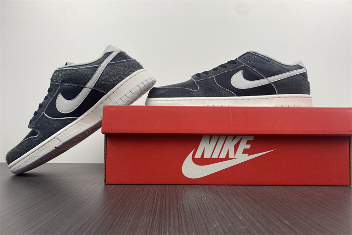 Nike Dunk Low DH7913-001