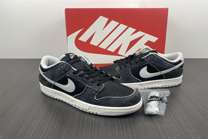 Nike Dunk Low DH7913-001