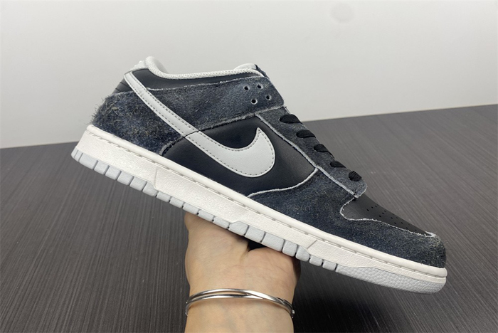 Nike Dunk Low DH7913-001