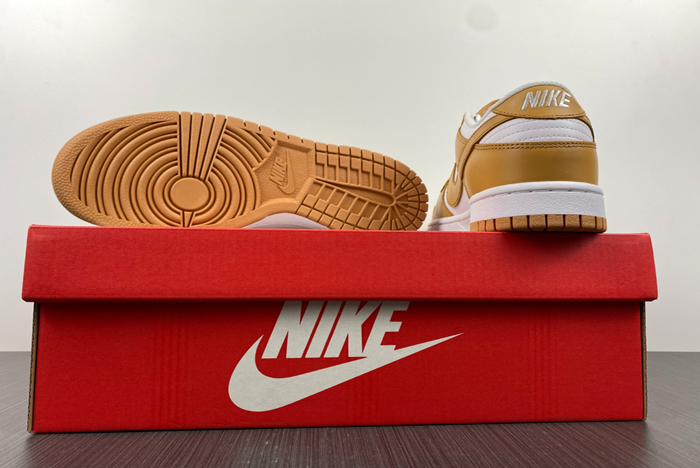Nike Dunk Low  dd1503-114