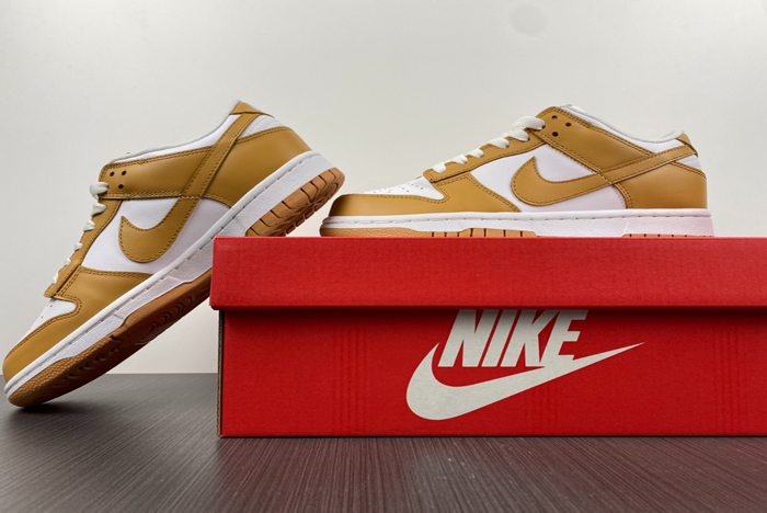 Nike Dunk Low  dd1503-114