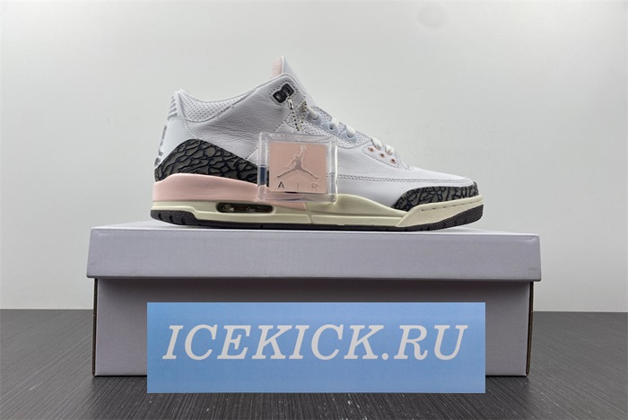 Air JORDAN 3 RETRO