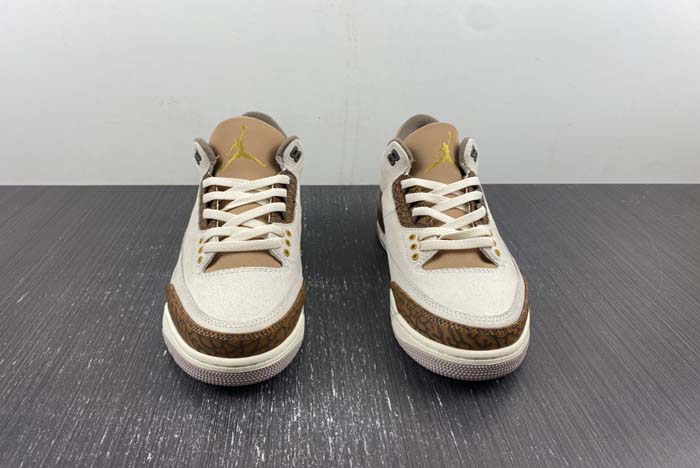 Air Jordan 3 “Palomino” CT8532-102