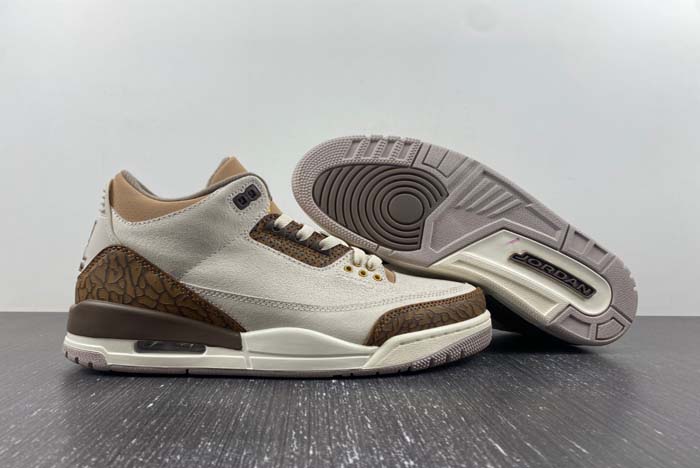 Air Jordan 3 “Palomino” CT8532-102