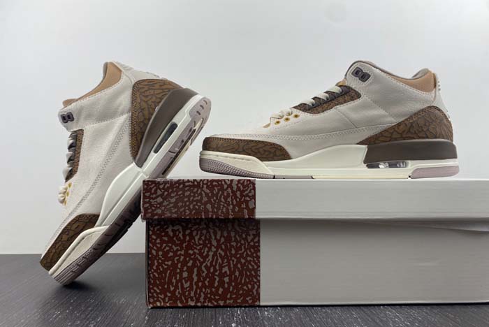 Air Jordan 3 “Palomino” CT8532-102