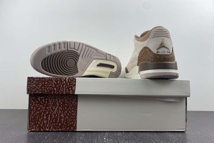 Air Jordan 3 “Palomino” CT8532-102