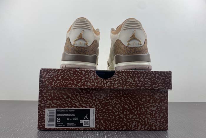 Air Jordan 3 “Palomino” CT8532-102