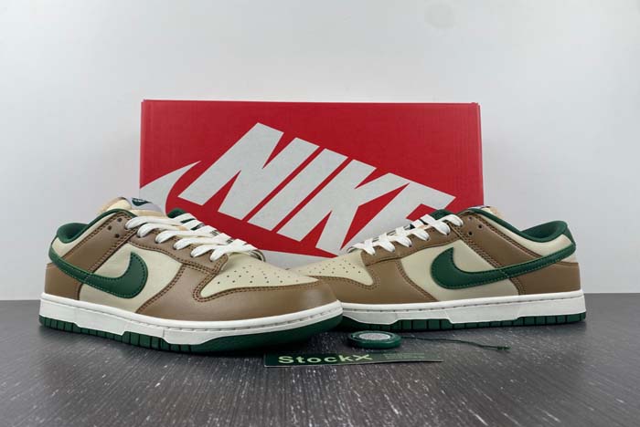 Nike Dunk Low Retro FB7160-231