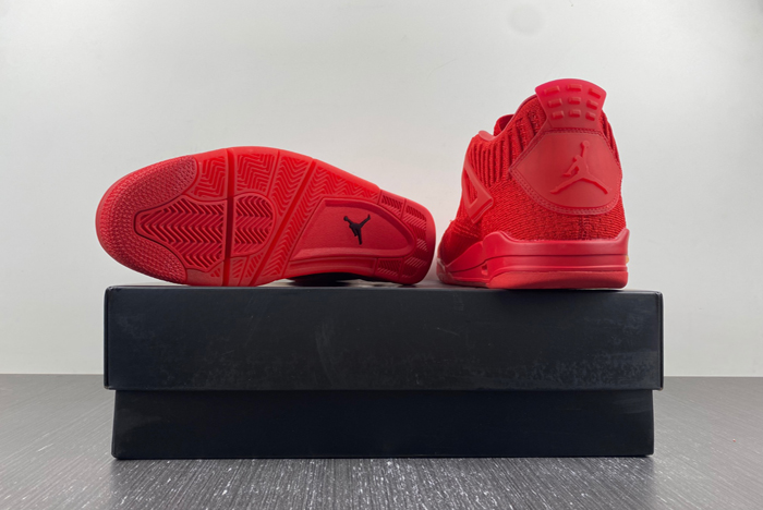 Air Jordan 4 Flyknit AJ4 AQ3559-600