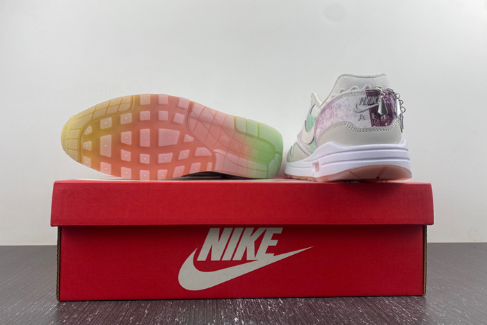 Nike Air Max 1 SNKRS FJ7734-101