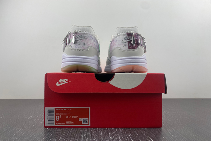 Nike Air Max 1 SNKRS FJ7734-101