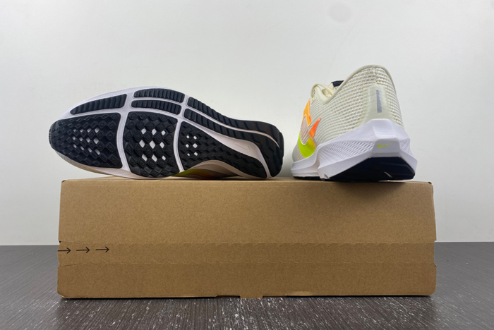 NIKE PEGASUS DV3853-101