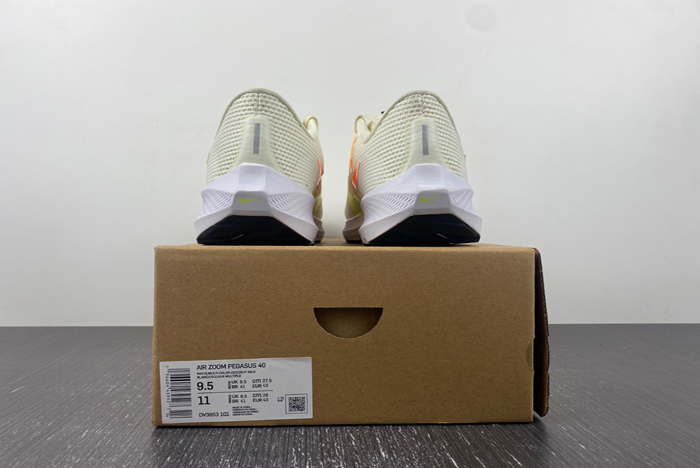 NIKE PEGASUS DV3853-101