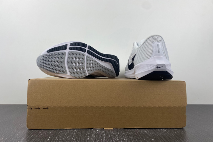 NIKE PEGASUS DV3853-102